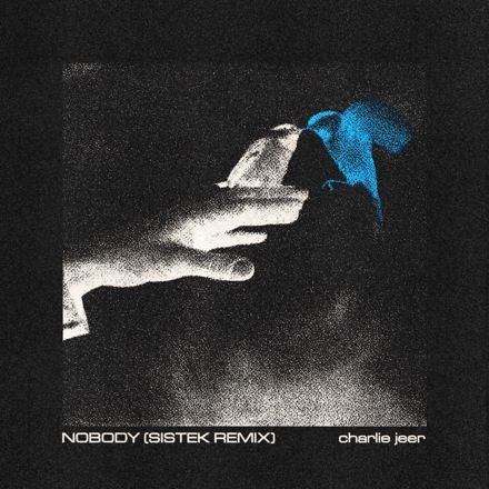 NOBODY - SISTEK REMIX